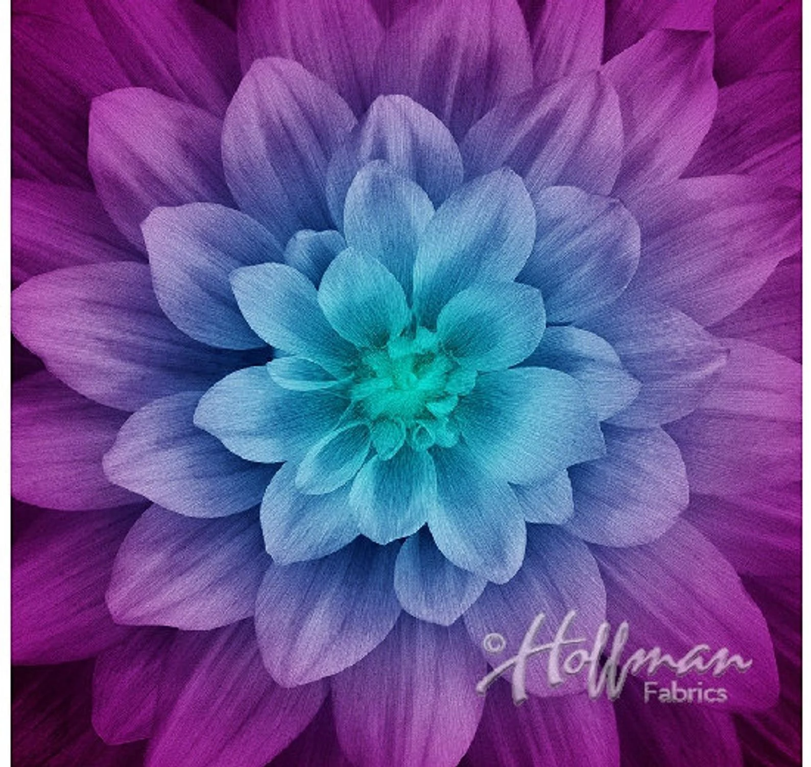 “Dream Big” Chrysanthemum panel